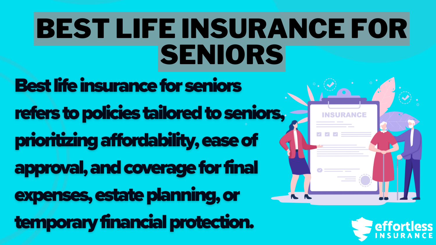 Best Life Insurance for Seniors Over 85: Best Life Insurance for Seniors Definition Card