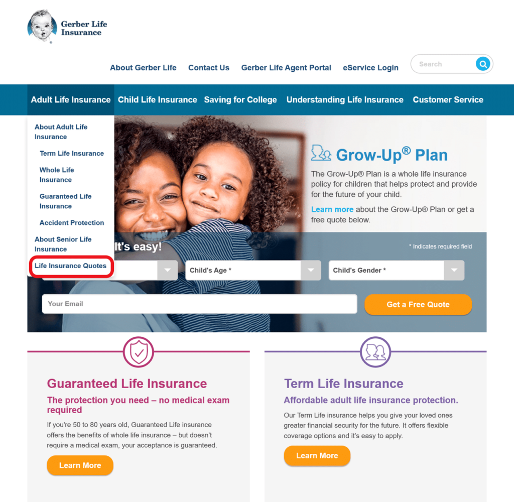 Gerber Life Insurance Guide Best Coverages Rates 2940